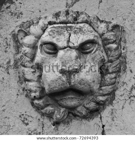 Mascarones Lion, cracks and rust, the square shape of the picture, an abstract background