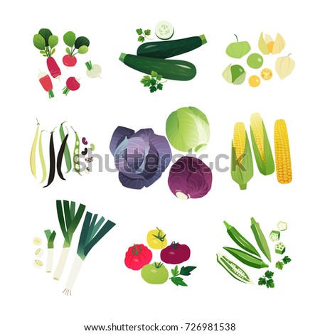 Clip art vegetables set with radish, zucchini, physalis, beans, cabbage, corn, leek onion, tomato and okra