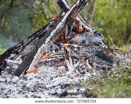 Large fire, from a lot of cut and scrapped wood, strong flame and high temperature, nature