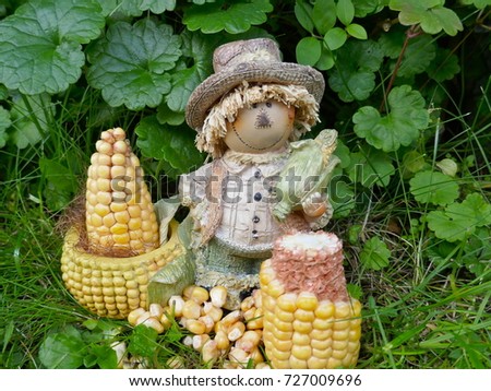 Funny decorating figure with corn in front of a green hedge