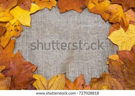 Colorful and bright background, autumn leaves, on sackcloth background. Autumn concept.