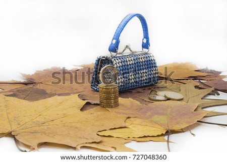 Small toy bad with euro coins. Isolated on white background.