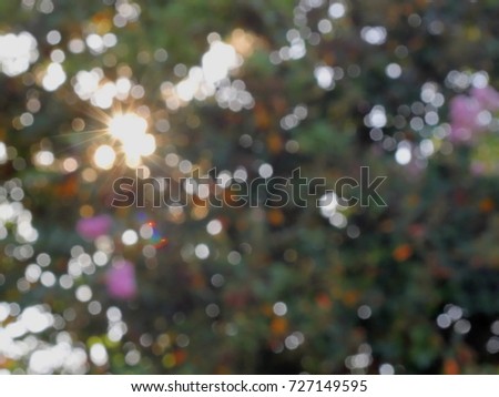 Abstract Nature Background of Sun and Leaves - Softly blurred nature background of the sun shining through the leaves of a tree, producing some random colorful effects. 