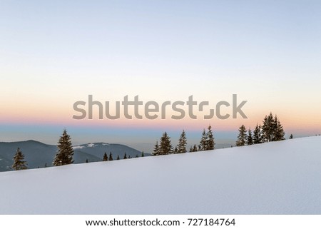 Winter snowy landscape in mountains with pine trees and white hills
