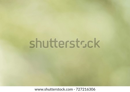 Abstract blurred background of nature