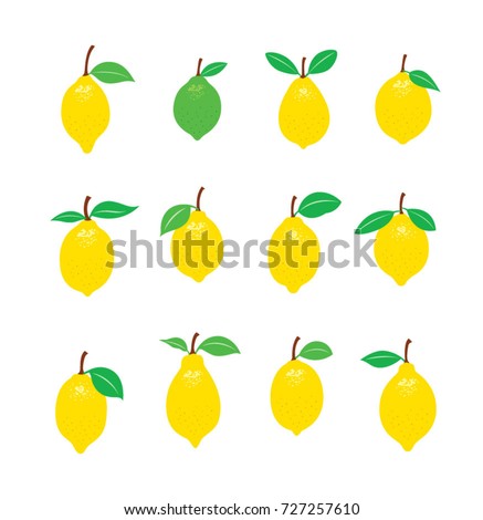fresh lemon vector