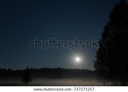 magical mysterious autumn forest glade at night with a misty moonlight with stars and shadows
