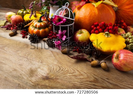 Fall arrangement with pumpkins, rowan berries, barberry, clower, birdcage decorated cones and pink flower, copy space