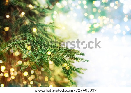 Closeup of Christmas-tree Royalty-Free Stock Photo #727405039