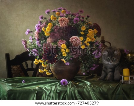 Kitty and autumn flowers