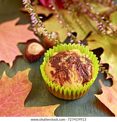Square image of colorful homemade cupcake made of cornflour with hint of chocolate with autumn leaves, chestnut and heather in the background