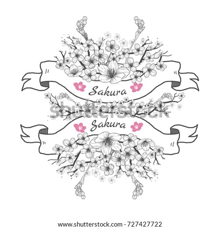 Flower ribbon of Sakura. Drawing and sketch on white background.