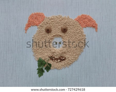 Picture of pigs laid cereal on the table with rice, lentils, parsley, acorns