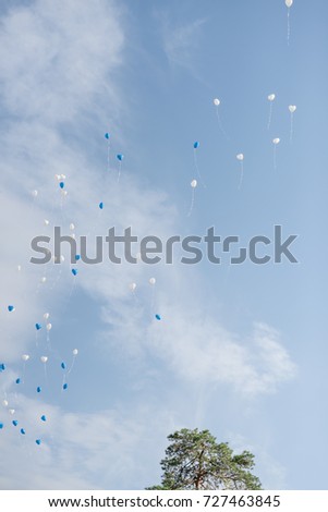 Bridal balloons fly to the sky