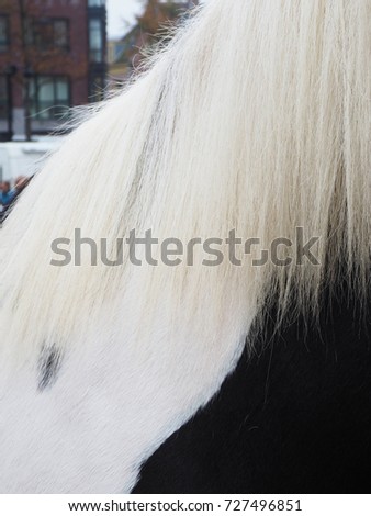 Horsehair background