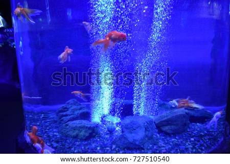 Underwater world with decorative fish and coral