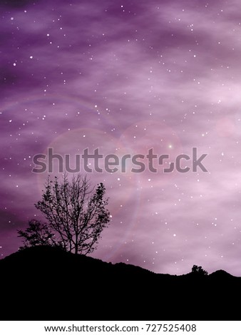 Black tree shadow foggy sky. Silhouette plant landscape planet background. Gray shape wood forest dark cloud galaxy backdrop. Branches outline twig treetop dusky garden full star Halloween ghost night
