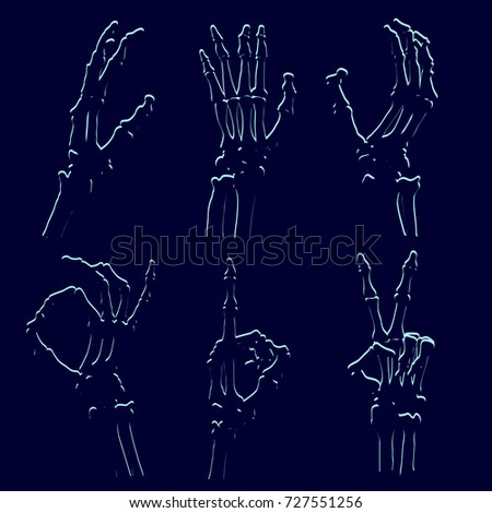 set of skeleton hands, illustration clip-art
