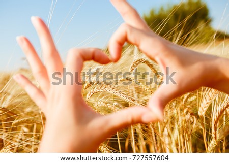 Picture of heart from palms on field