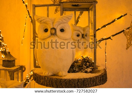 Photo of two owls with christmas lights