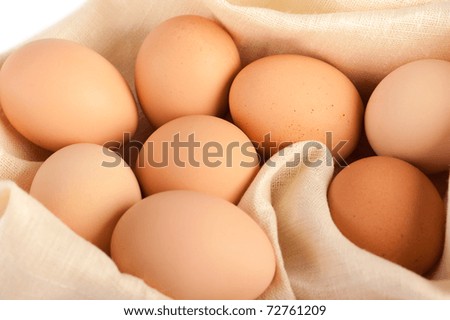Brown eggs at linen canvas nest in chicken farm