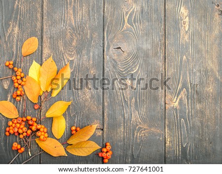 Berry Rowan and yellow autumn leaves in a corner, on an old brown wooden painted background. View from above. Place for the inscription. Good background.