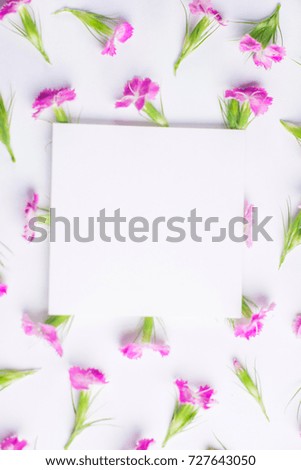 Small flowers on a white background