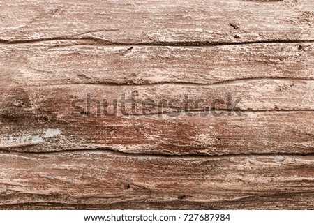 Stone wall texture. Abstract background for design. A concrete texture made like a tree bark.