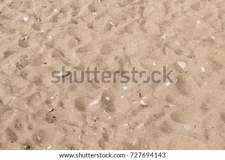 sand beach background