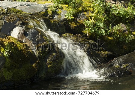 fast mountain stream with a small waterfall