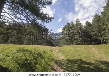 Mountain landscape Selva de Oza Oza jungle in Hecho valley Huesca Aragon Spain