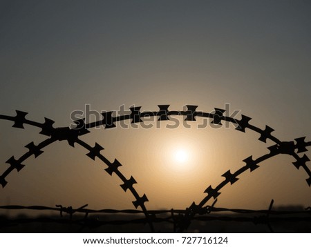 sun background barbed wire