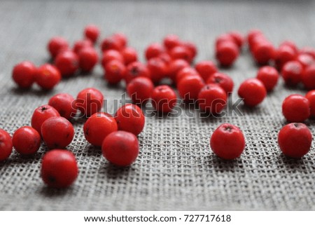 Rowan berries on the rough material