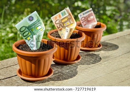 Growing money concept with rolled euro bills in flowerpots