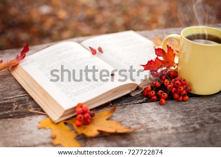 Book with open pages and mug with hot tea and red berries on wooden surface