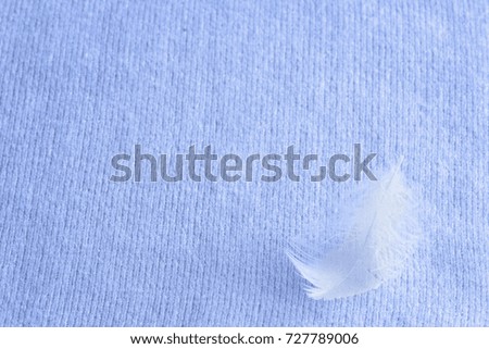 fluffy white feather on soft blue cashmere, gentle knitted background