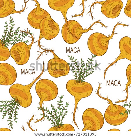 Maca. Background, wallpaper, seamless. Sketch. Color pattern.