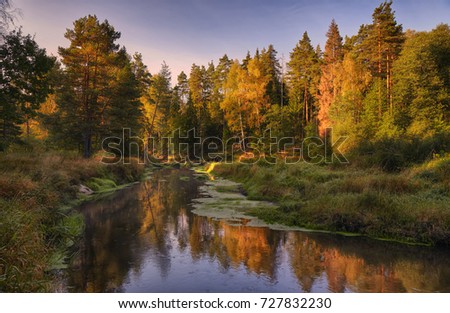 Autumnal forest river with the beautiful yellow trees on its shores