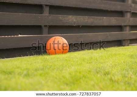 Basketball on the grass to the fence. Photographed in Lithuania. Warm autumn day.