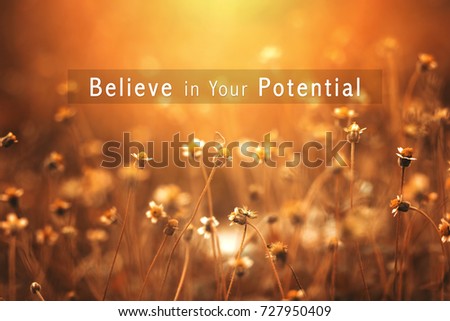 Inspirational Typographic Quote with nature background - Believe in Your Potential

