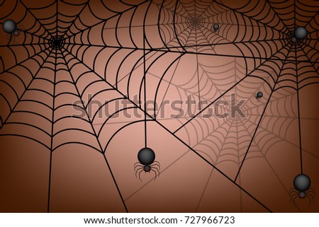 spider and web graphic vector
