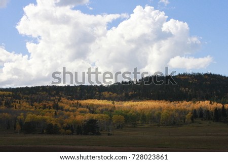 Fall Colors in the black hills