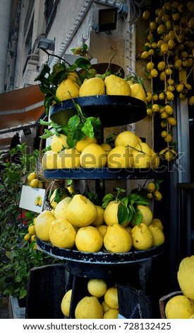 Fresh lemon in the baskets. Bologna, Italy.