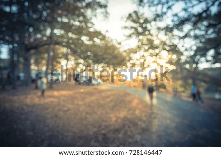 Blurred lakeside campsite on thick fallen dried leaves blanket ground in Oklahoma, USA. People enjoy sunlight and natural scene at early cold fall morning. Recreational and adventure concept. Vintage