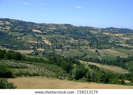 Country landscape  in Romagna along the road from Cesena to Sogliano al Rubicone at summer. Vineyards
