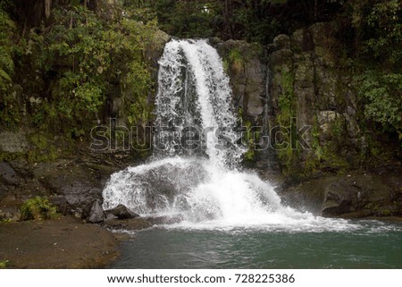 small waterfall in the rainforest 