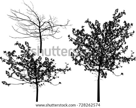 illustration with three trees isolated on white background