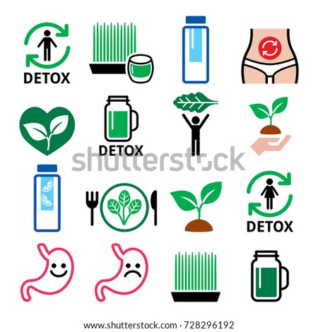 Detox, body cleaning with juices, vegetables or diet vector icons set
 Royalty-Free Stock Photo #728296192