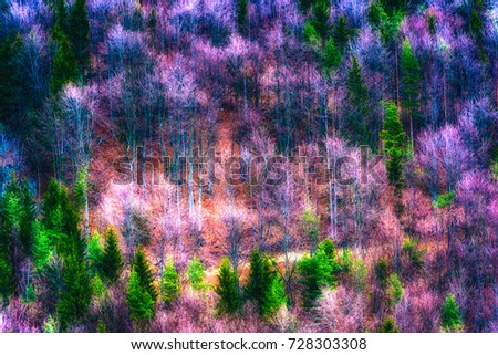 Surreallistic outdoor colorful nature image of a forest in winter in fine art painting style
