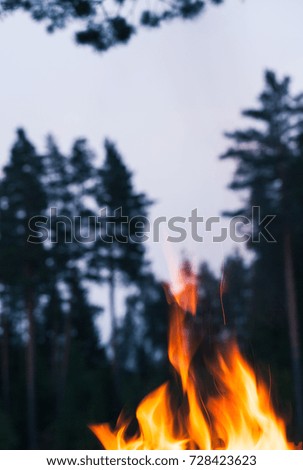 Abstract close-up photo of flames. Camp fire photo with shallow depth of field. Macro photo of fire.